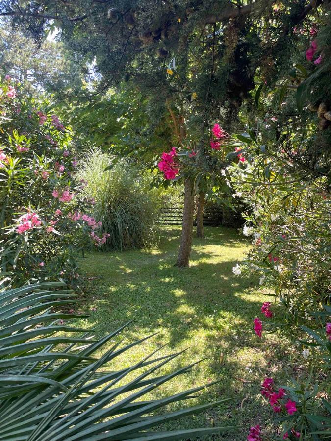 Au Chateau Des Estubiers *
